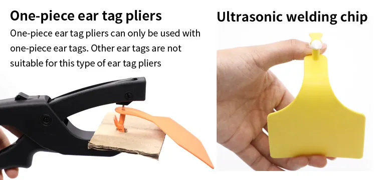 Ear Tag Number