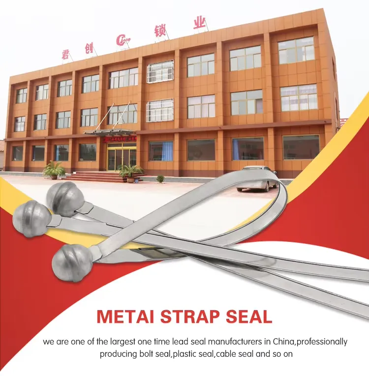 Metal Strap Seal
