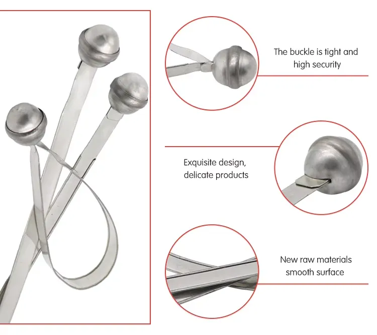 Metal Strap Seal Metal Strap Seal