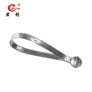 Metal Strap Seal