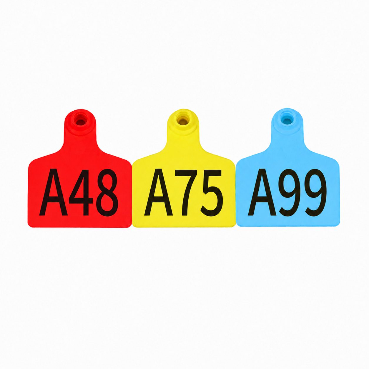 Pig Ear Tags With Numbers - 图片 3